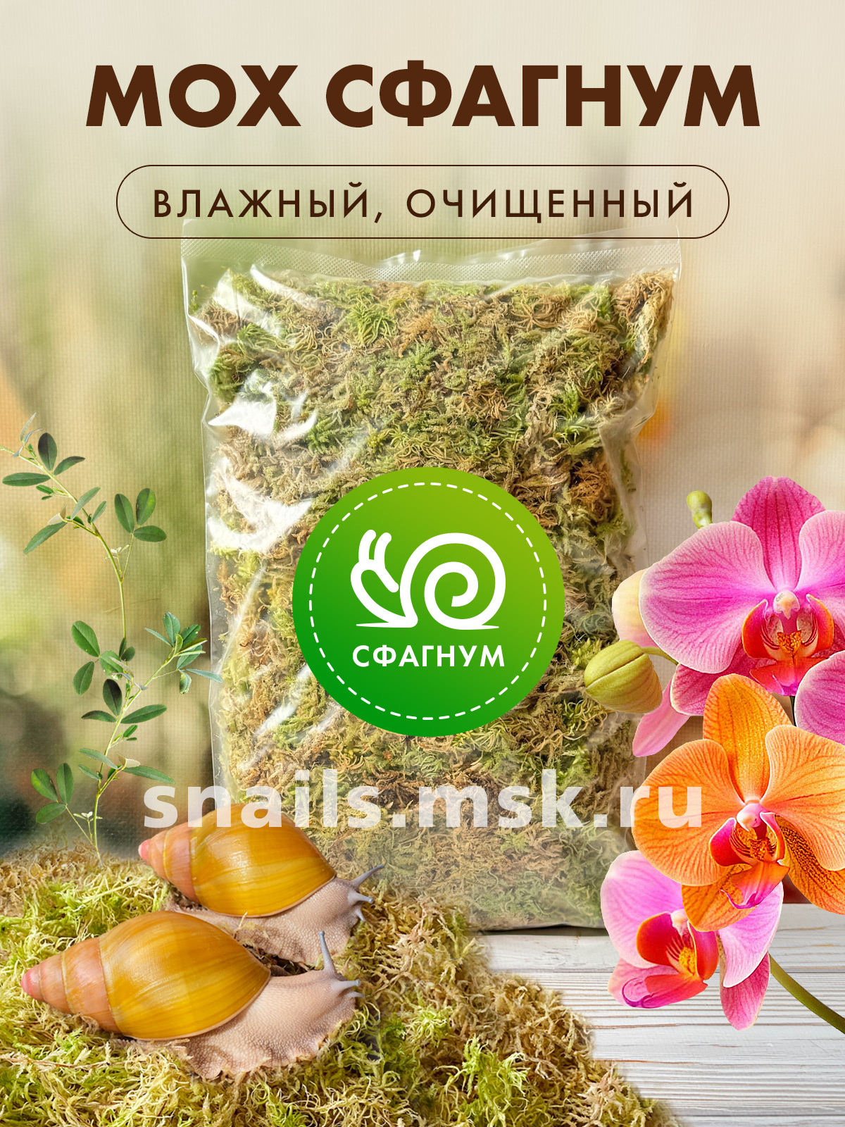сфагнум