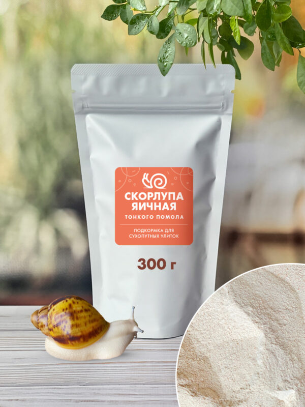 скорлупа