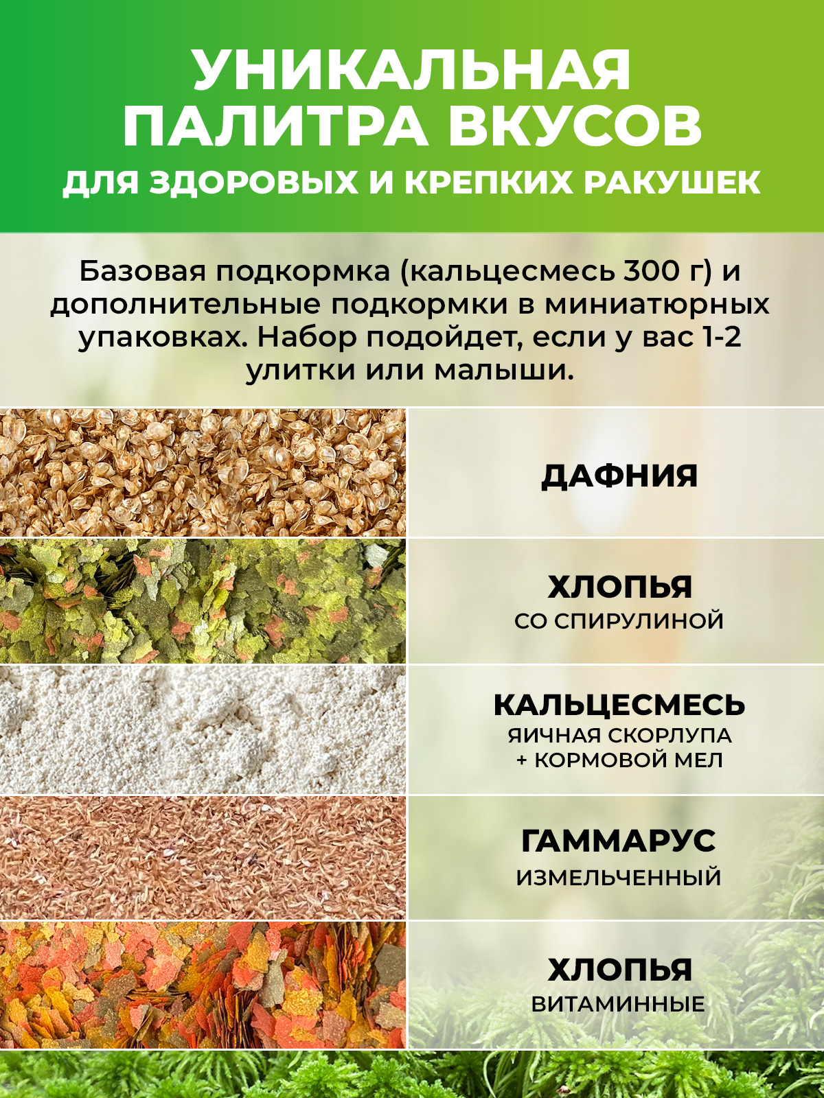 Набор подкормок для сухопутных улиток с кальцесмесью (5 подкормок) — изображение 3